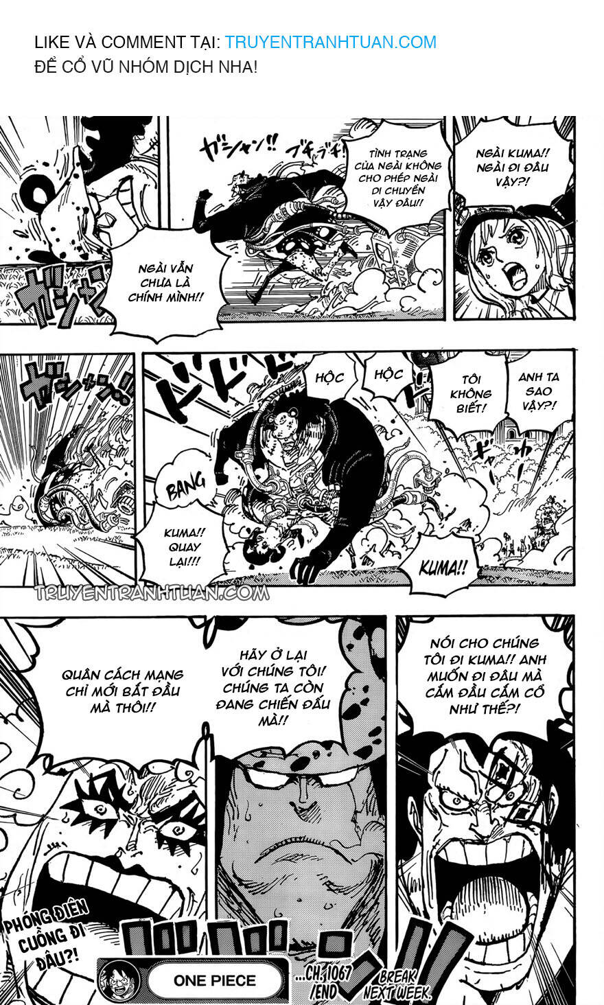 One Piece Tập 1067 trang 16