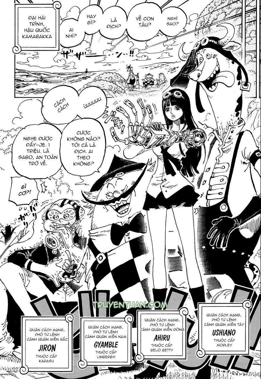 One Piece Tập 1082 trang 11