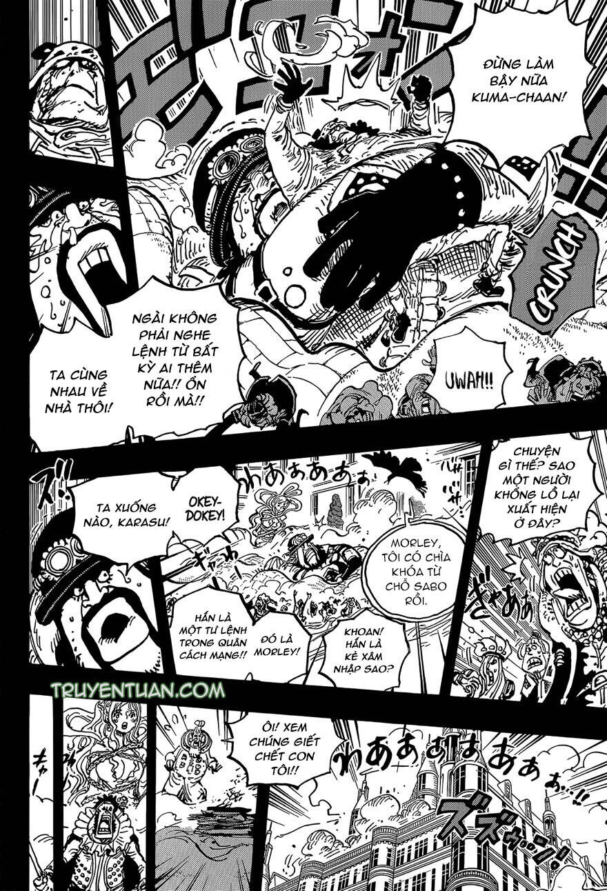 One Piece Tập 1084 trang 15
