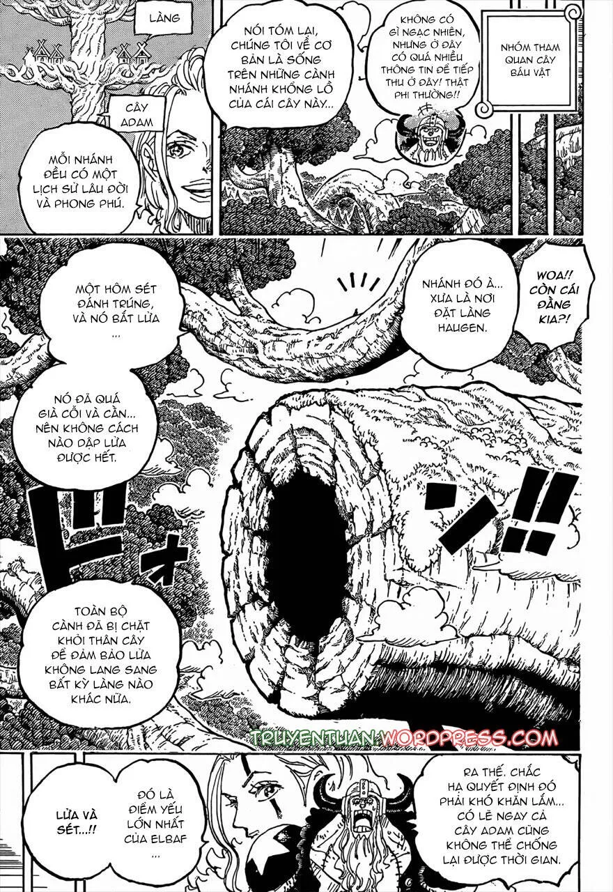 One Piece Tập 1141 trang 3