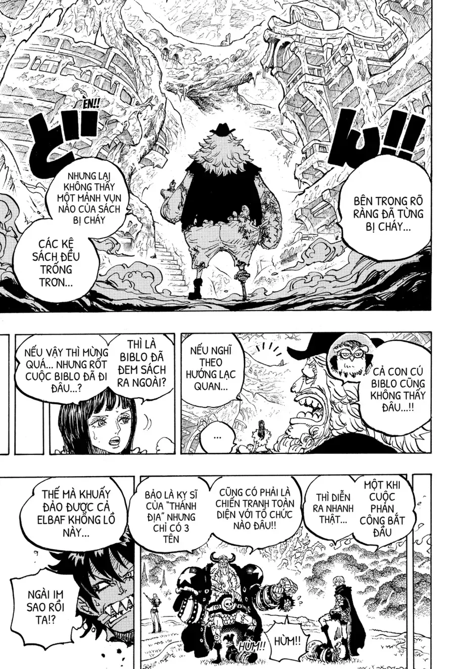 One Piece Tập 1178 trang 12
