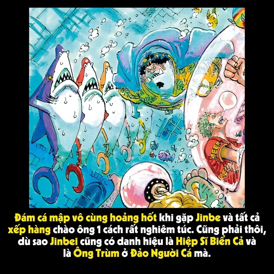 One Piece Tập 1188.1 trang 4