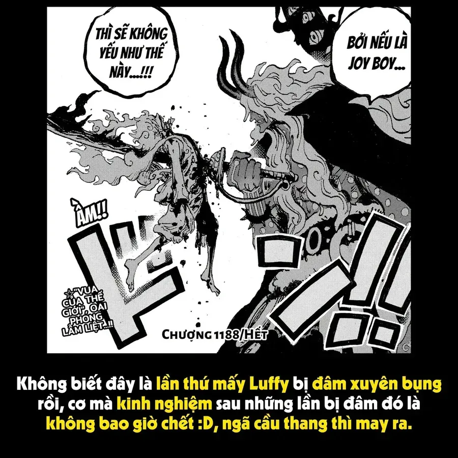 One Piece Tập 1188.1 trang 58