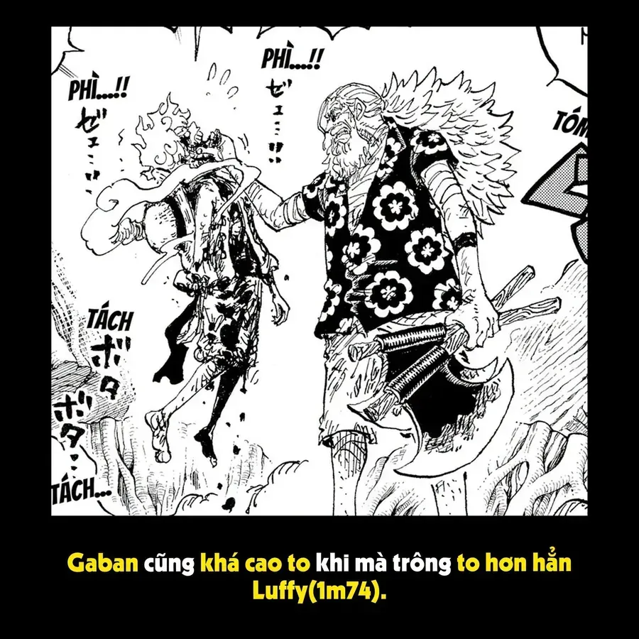 One Piece Tập 1190.1 trang 14