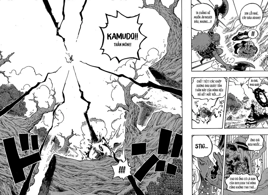 One Piece Tập 1190 trang 13