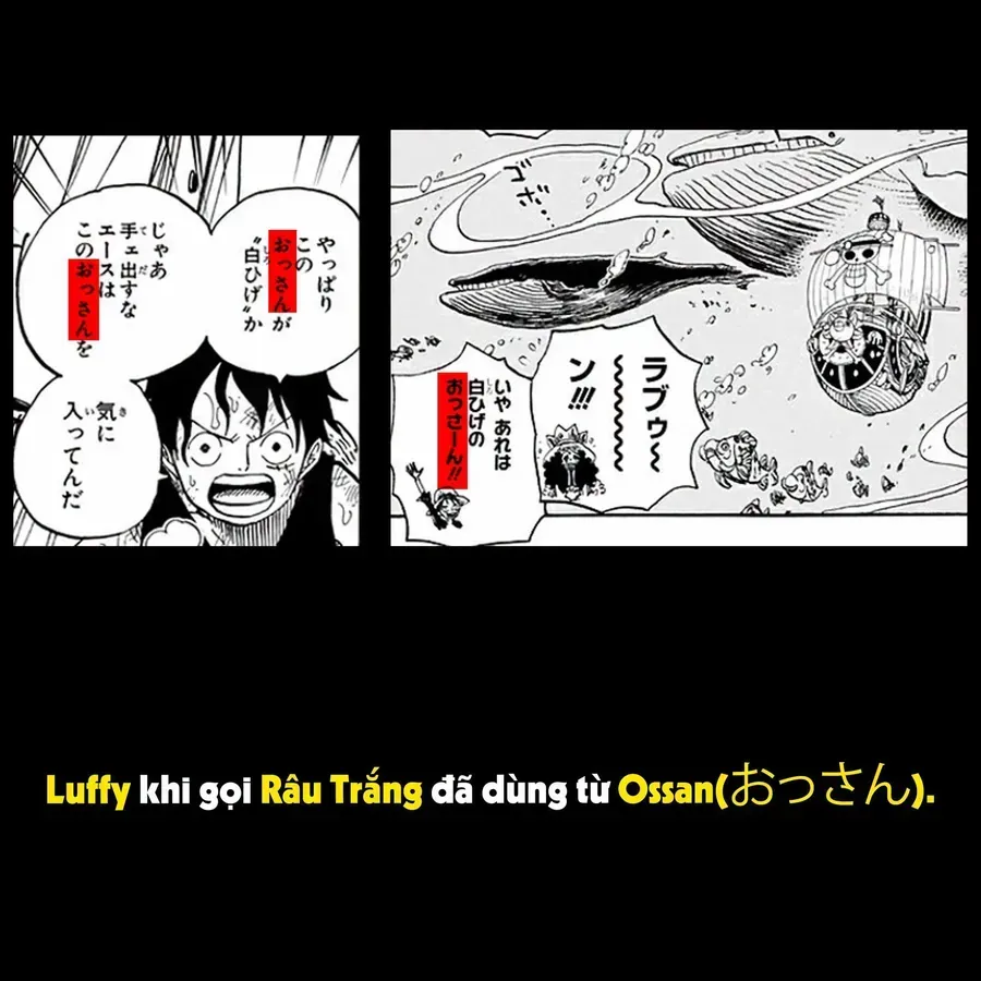 One Piece Tập 1191.1 trang 10