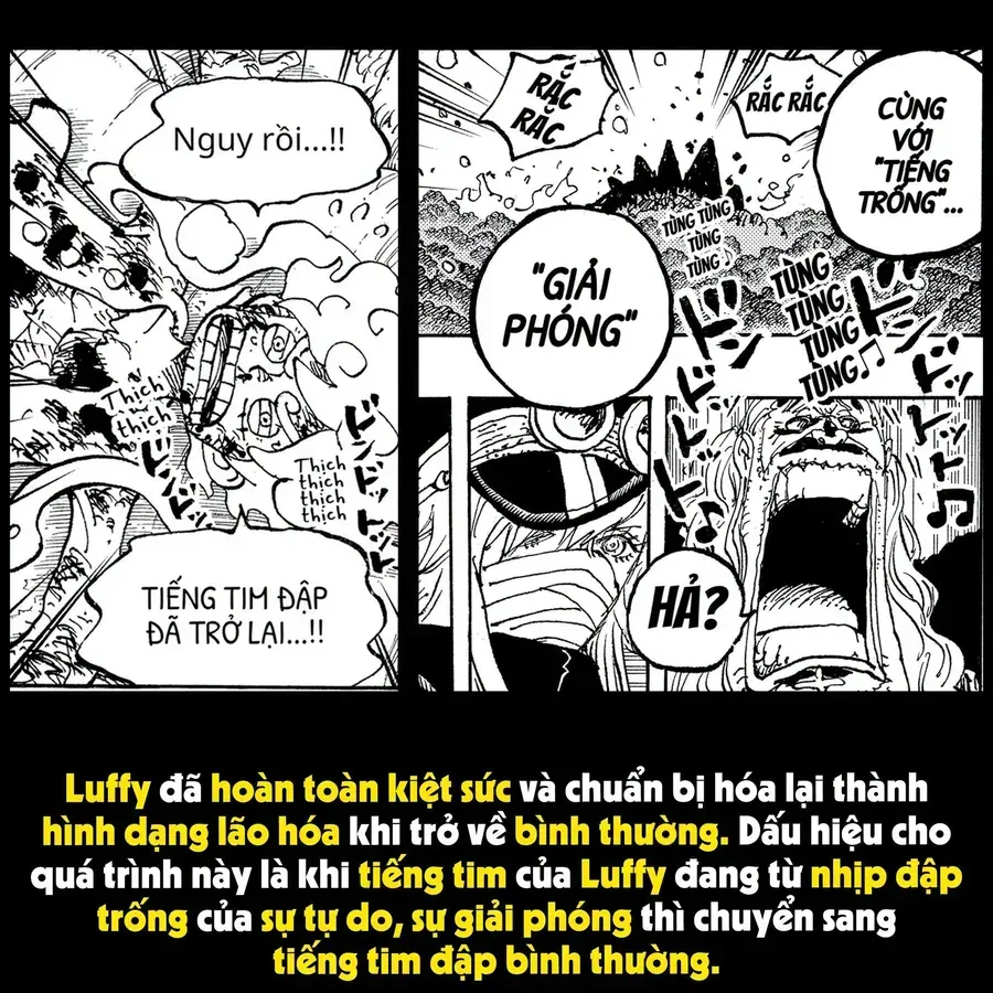 One Piece Tập 1193.1 trang 14