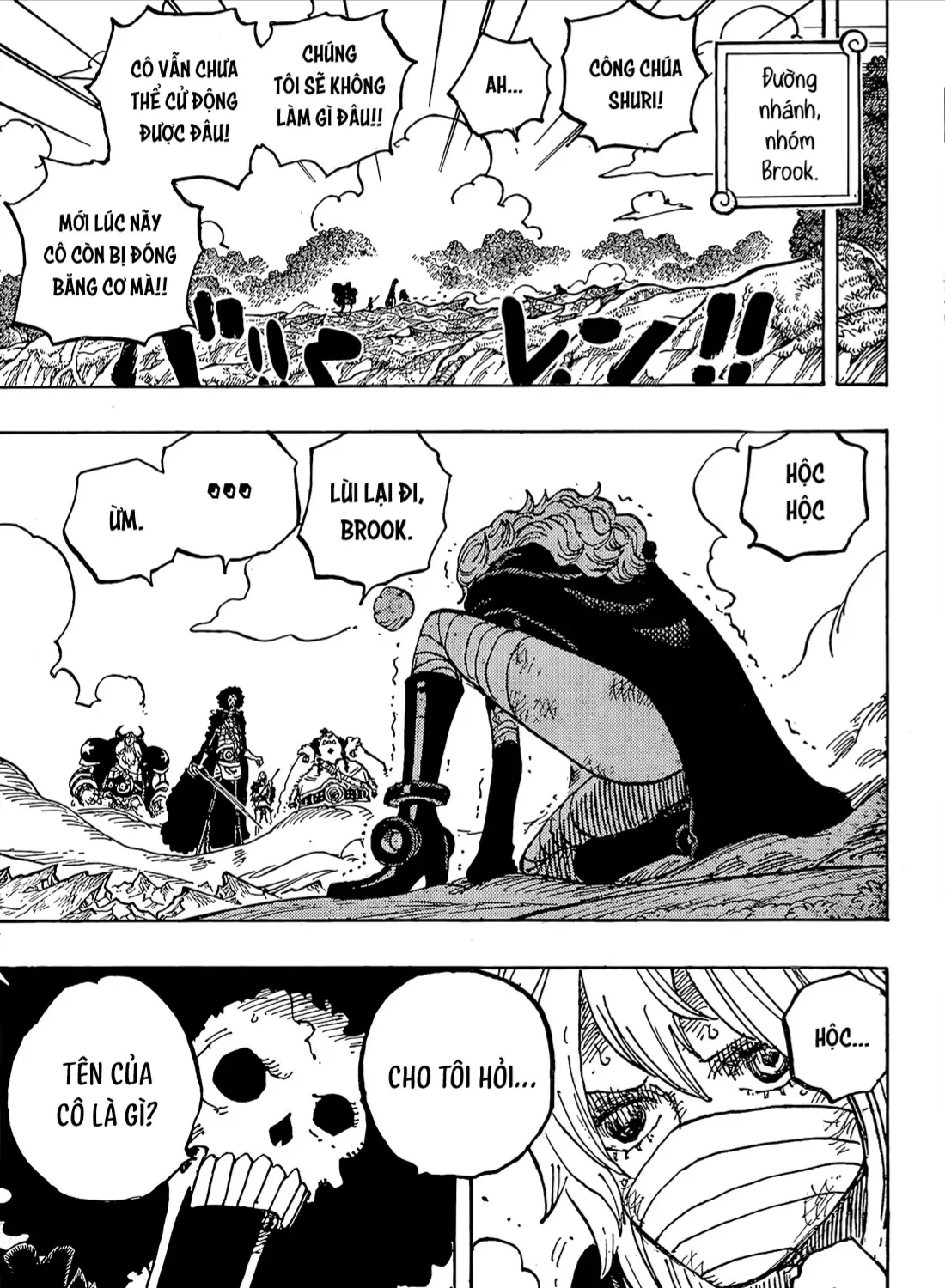 One Piece Tập 1195 trang 11