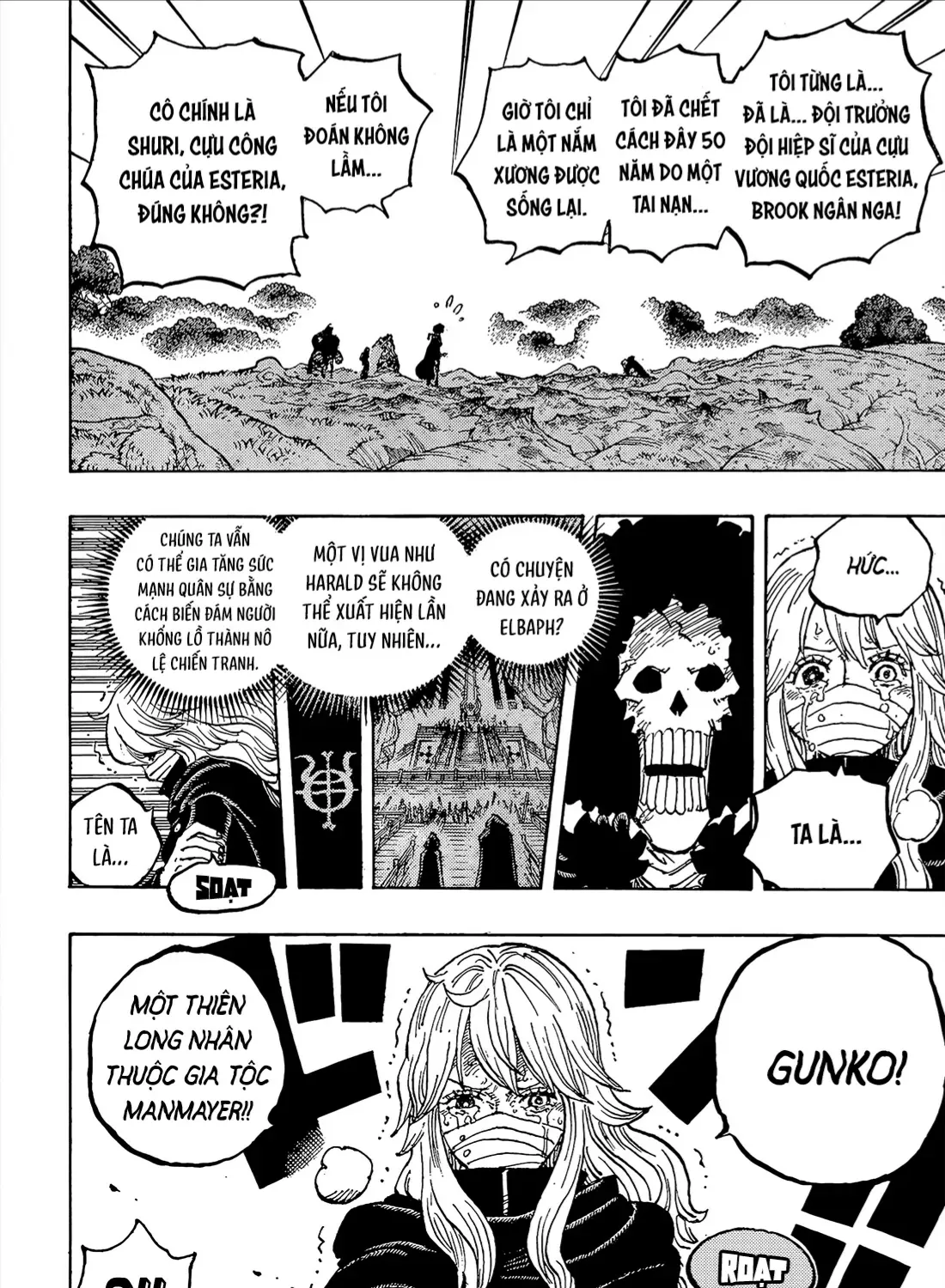 One Piece Tập 1195 trang 17