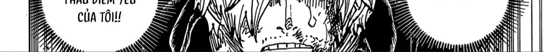 One Piece Tập 1196 trang 22