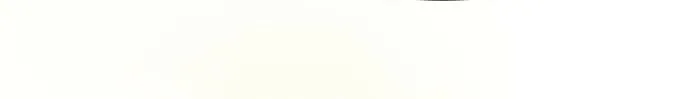 Our Guild’s Idol Tập 52 trang 64