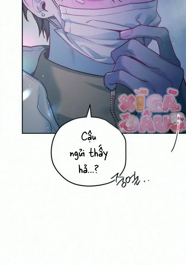 Our Guild’s Idol Tập 62 trang 8