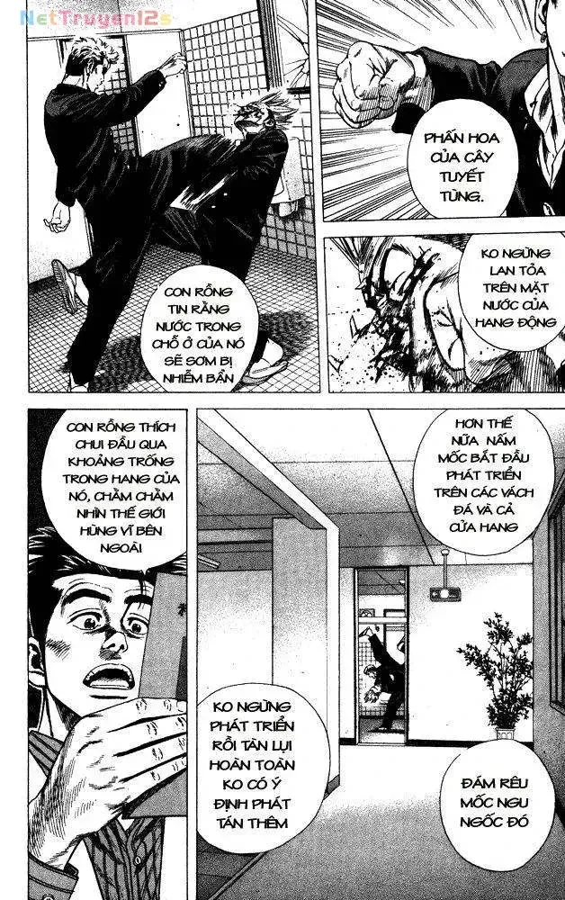 Rookies Tập 13 trang 17