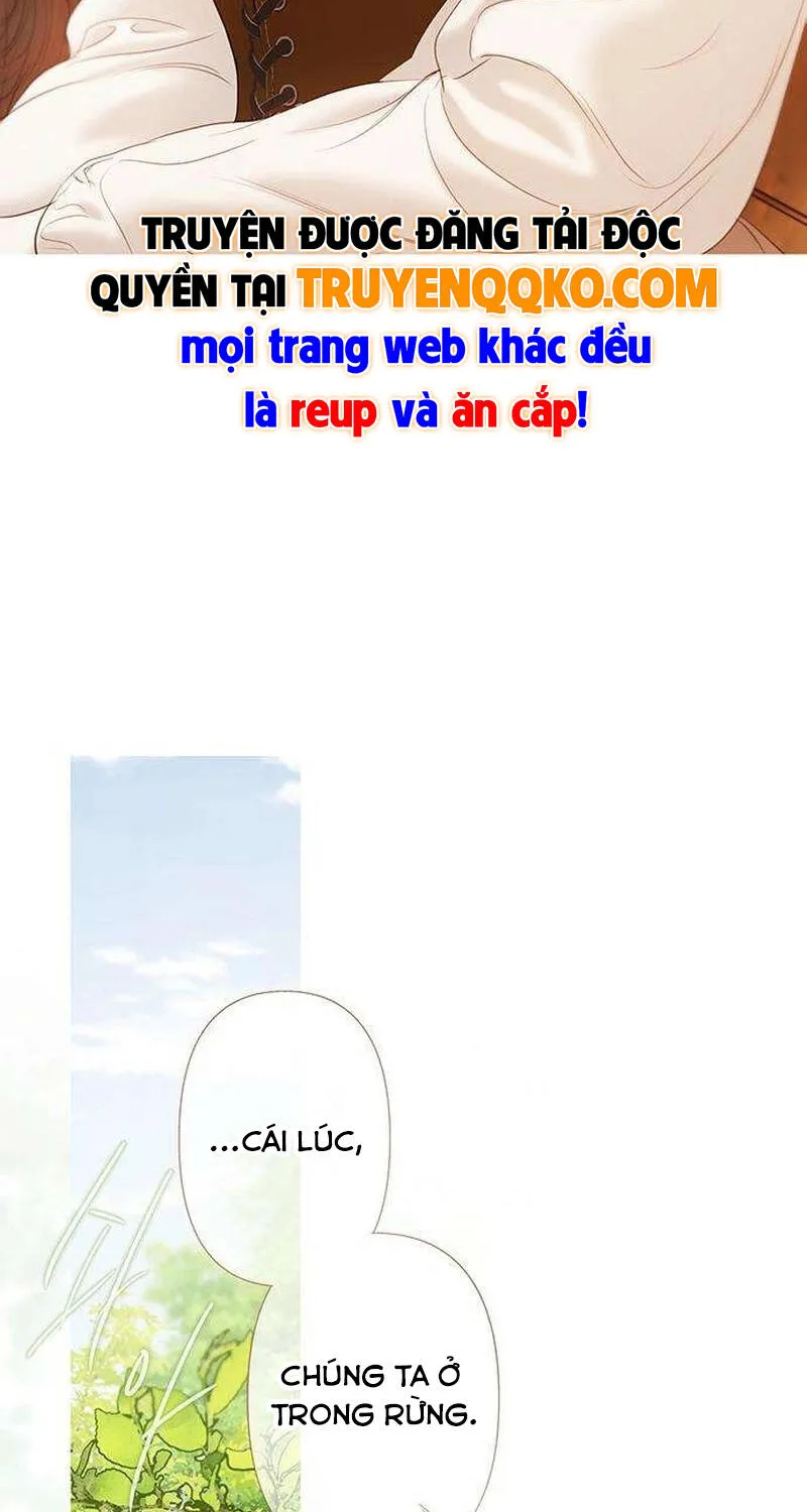 Rừng Chanh Tập 21 trang 19