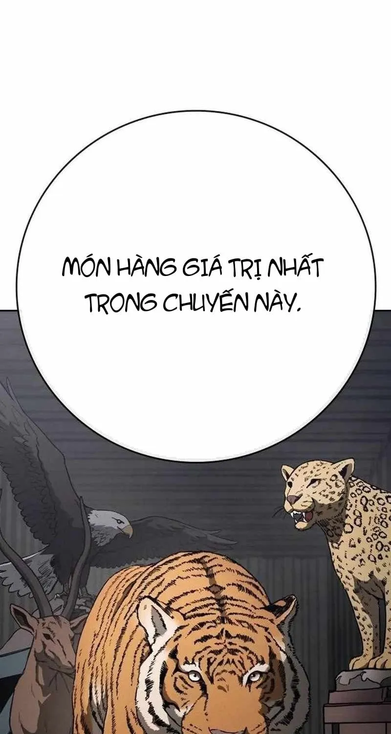 Sát Thủ Nhập Học Tập 20 trang 5