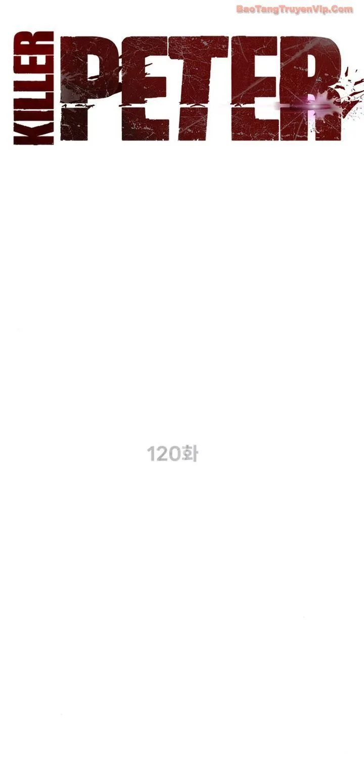 Sát Thủ Peter Tập 120 trang 29