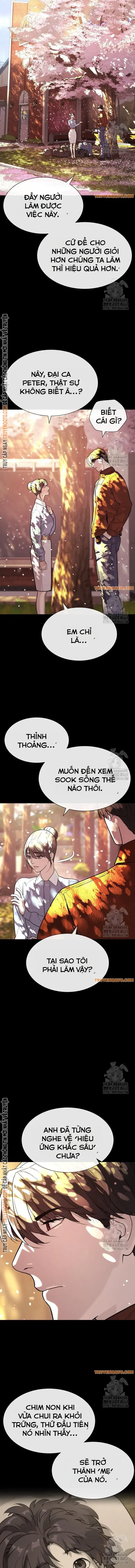Sát Thủ Peter Tập 83 trang 7