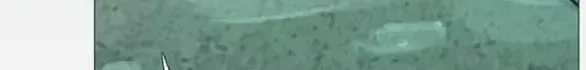 Serena Tập 145 trang 95