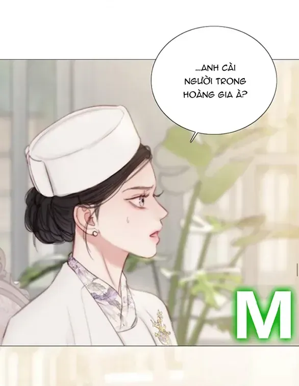 Serena Tập 214 trang 37