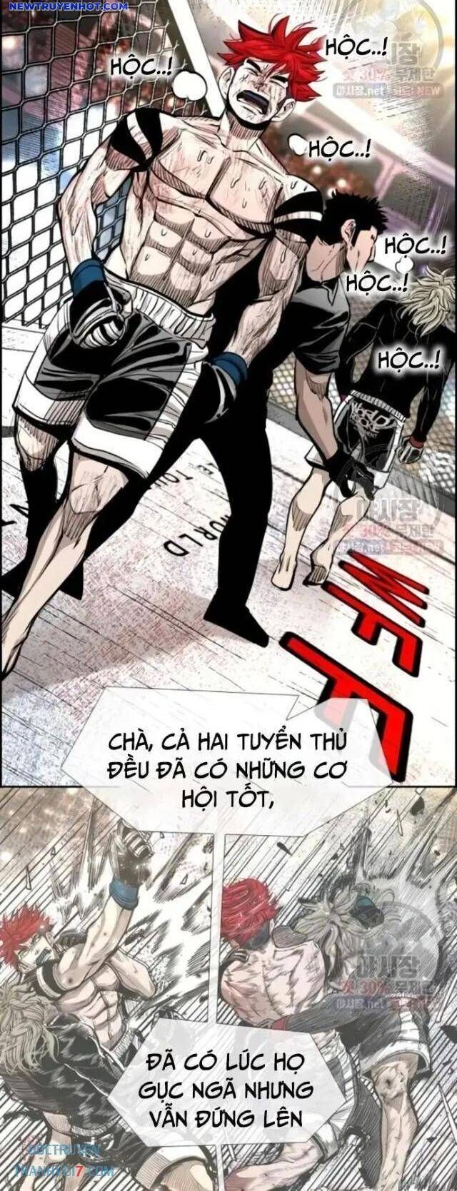 Shark – Cá Mập Tập 210 trang 39