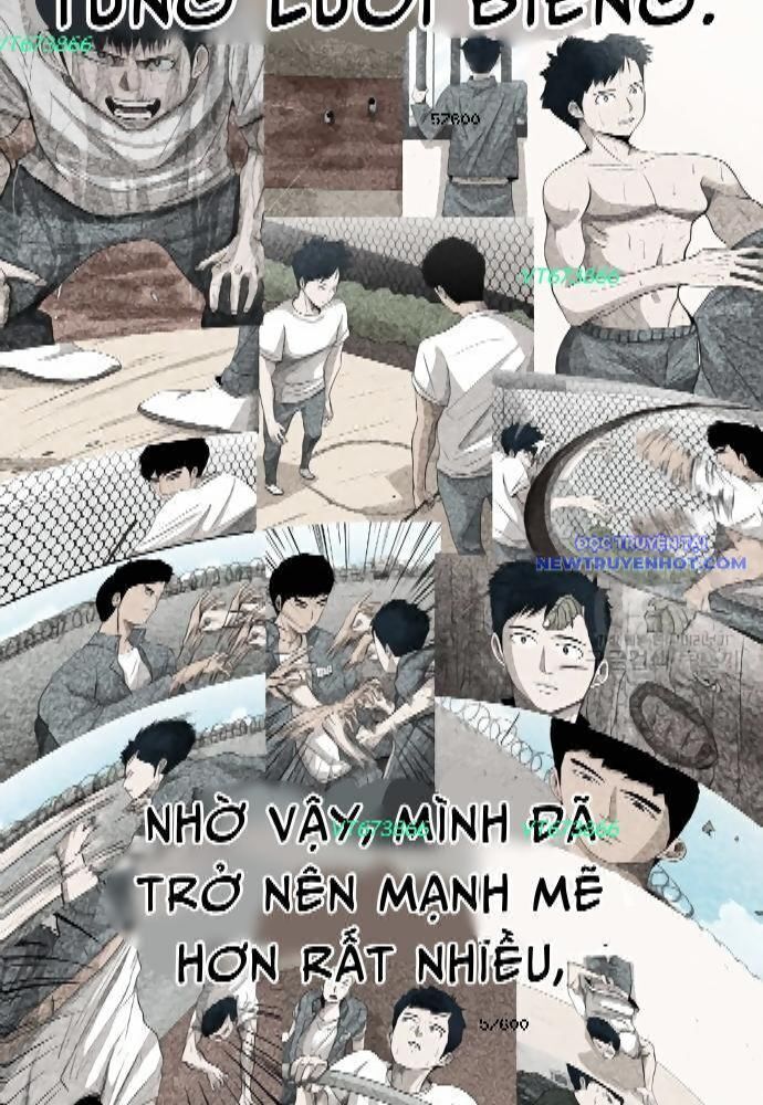 Shark – Cá Mập Tập 273 trang 9