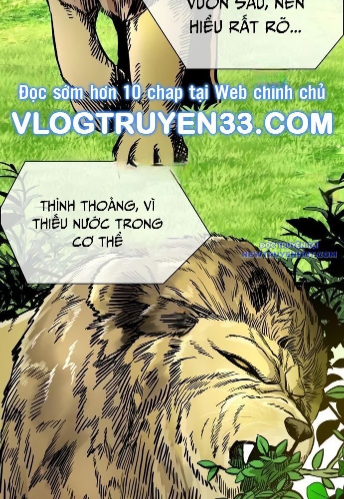 Shark – Cá Mập Tập 325 trang 41