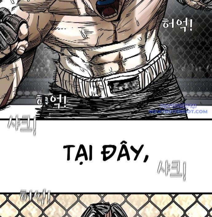 Shark – Cá Mập Tập 337 trang 168