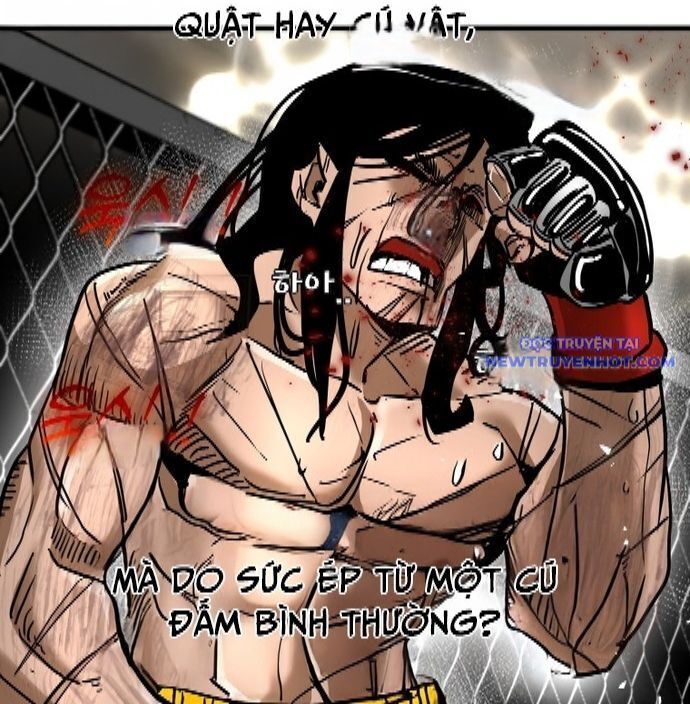 Shark – Cá Mập Tập 338 trang 37
