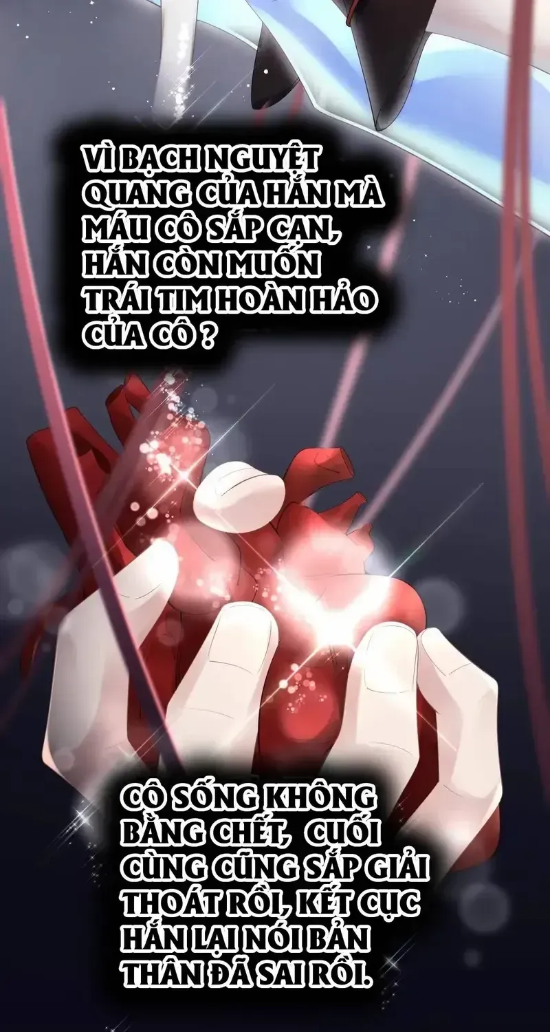 Tùy Ý Thiêu Đốt Lửa Tình Tập 0 trang 7