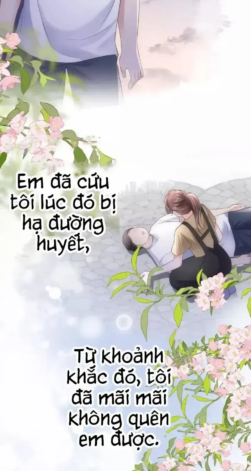 Tùy Ý Thiêu Đốt Lửa Tình Tập 101 trang 13