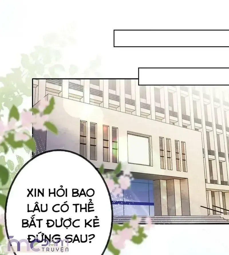 Tùy Ý Thiêu Đốt Lửa Tình Tập 48 trang 11
