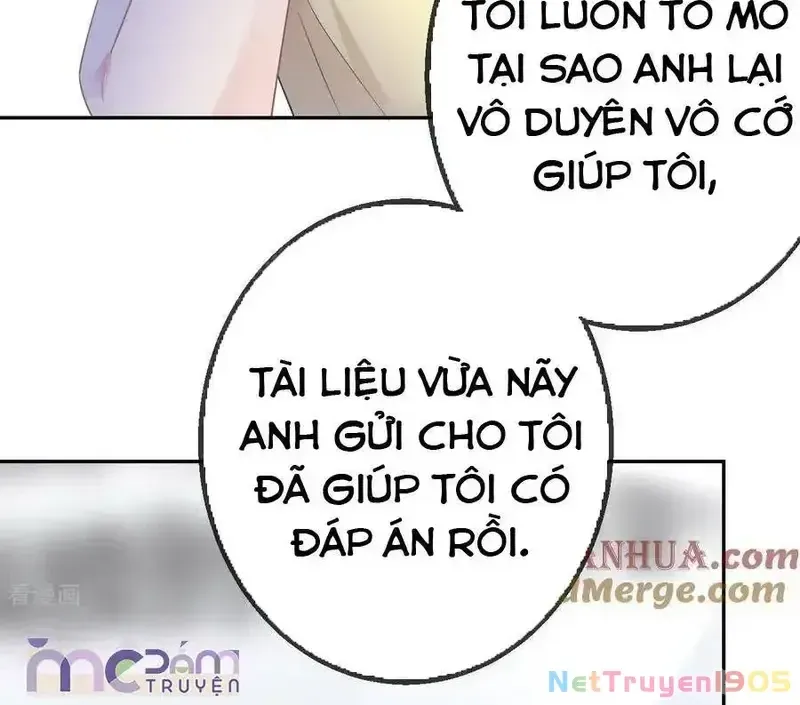 Tùy Ý Thiêu Đốt Lửa Tình Tập 51 trang 8