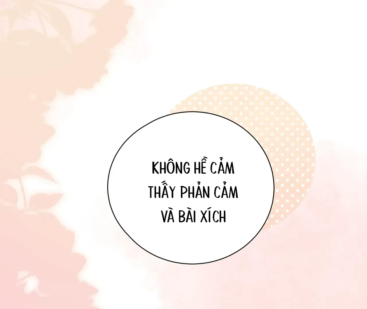 Vãn Triều Tập 11 trang 19