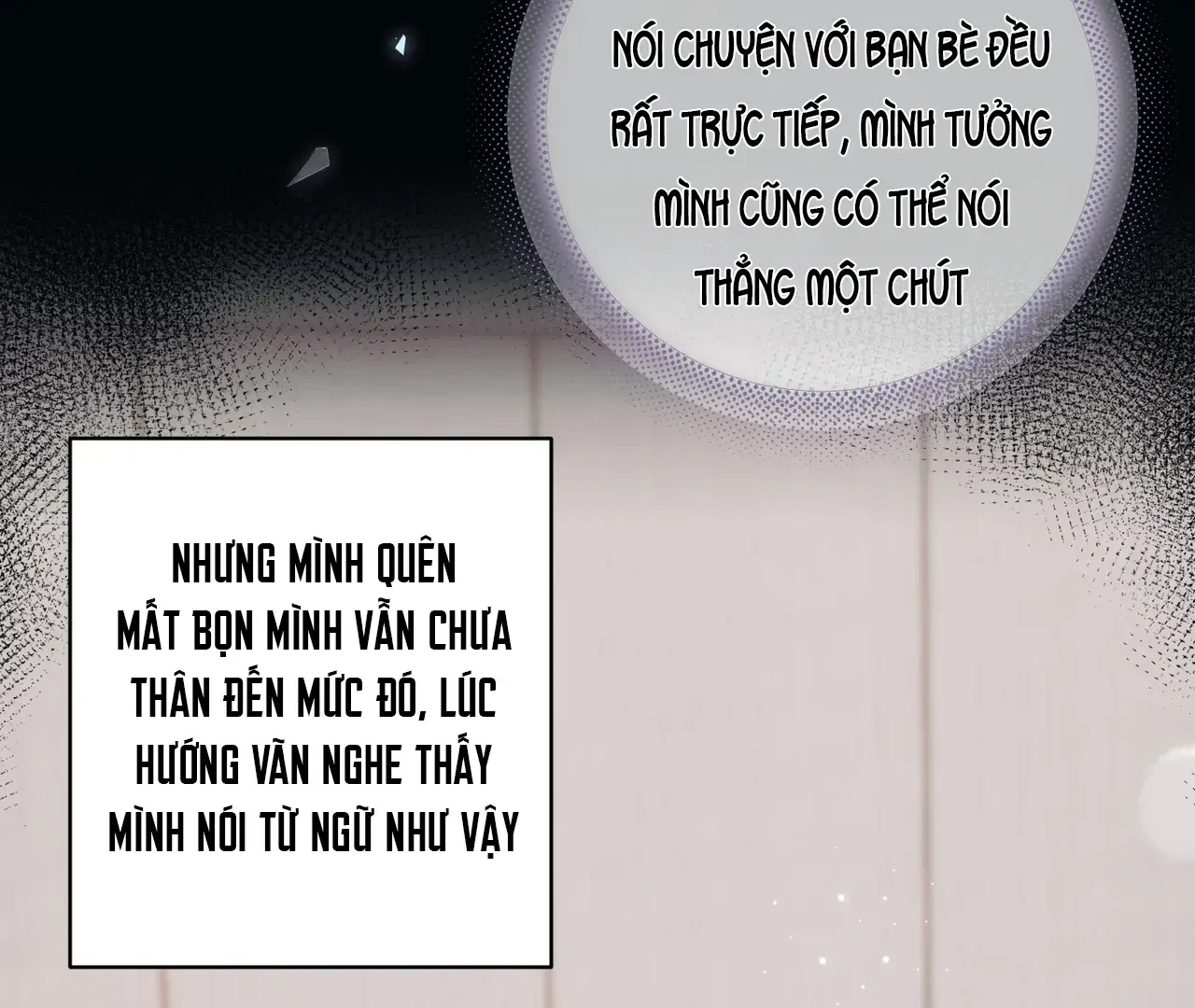 Vãn Triều Tập 13 trang 13
