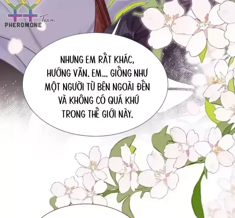Vãn Triều Tập 26 trang 41