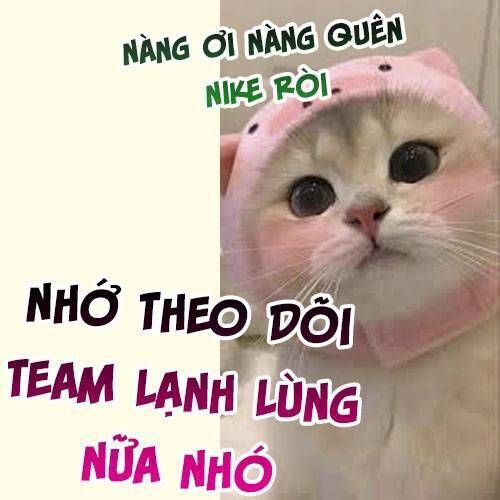 Vưu Vật Tập 131 trang 21