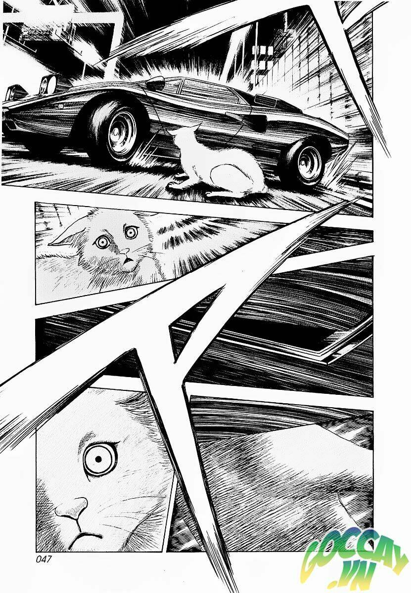 Countach Tập 16.5 trang 24