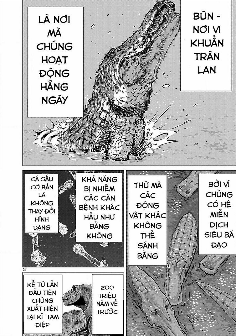 Killing Bites Tập 11 trang 25