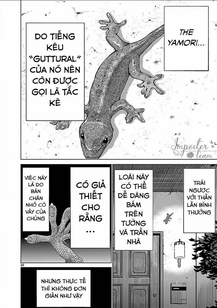 Killing Bites Tập 12 trang 21
