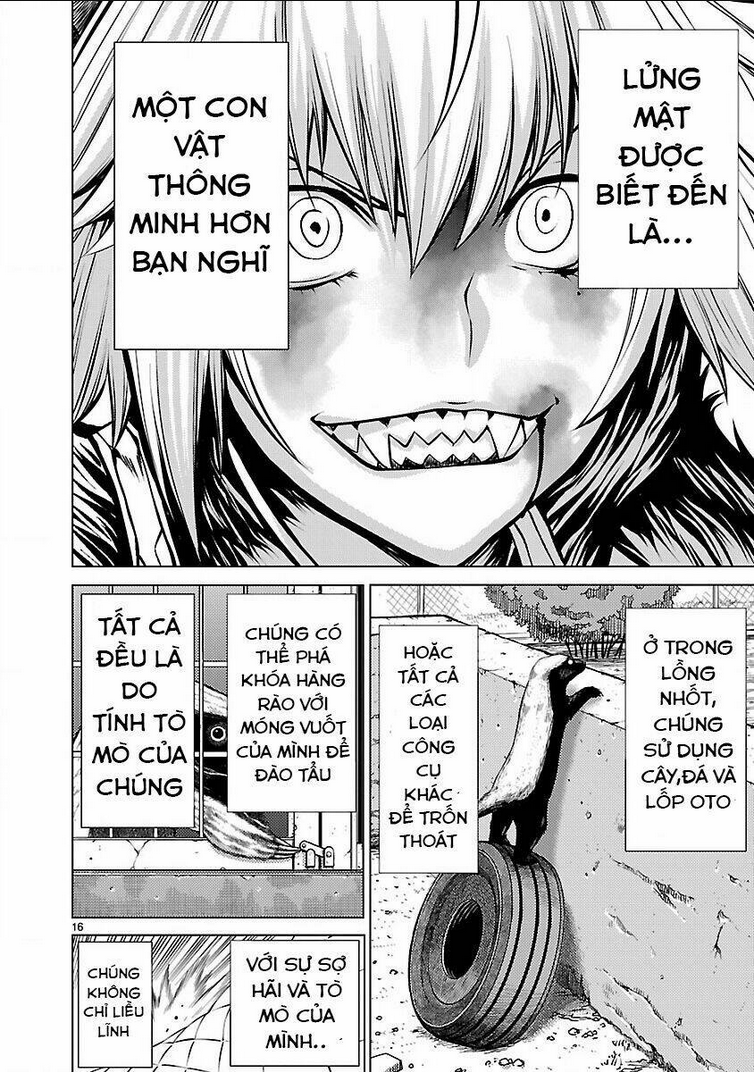 Killing Bites Tập 14 trang 18