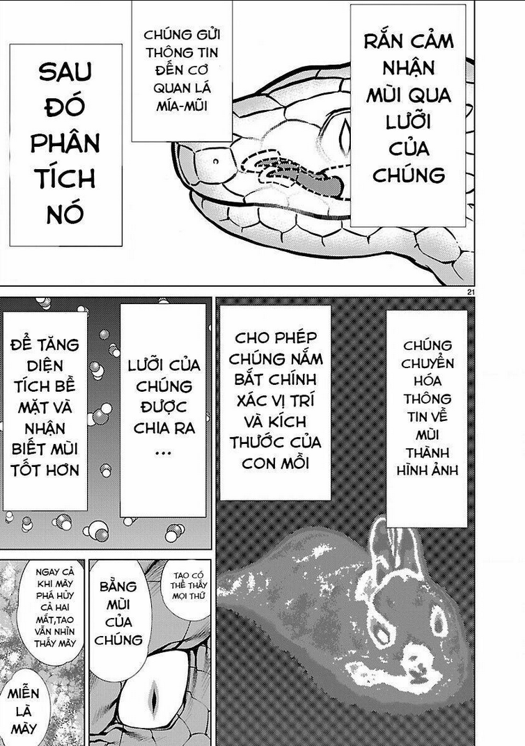 Killing Bites Tập 14 trang 23