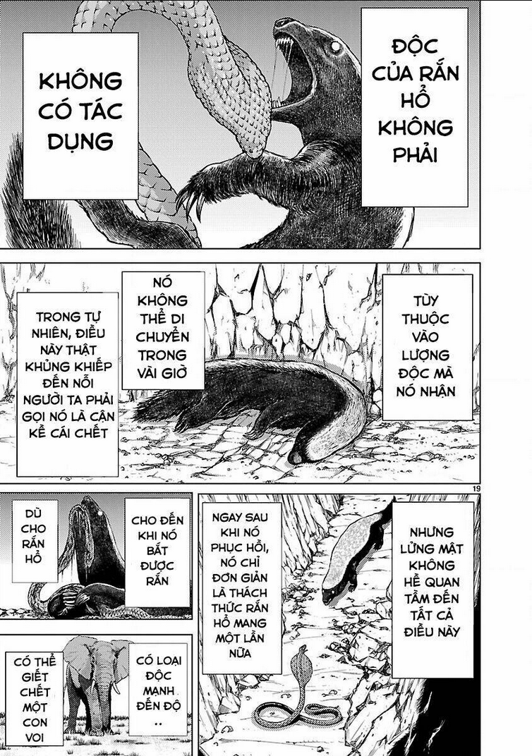 Killing Bites Tập 15 trang 21
