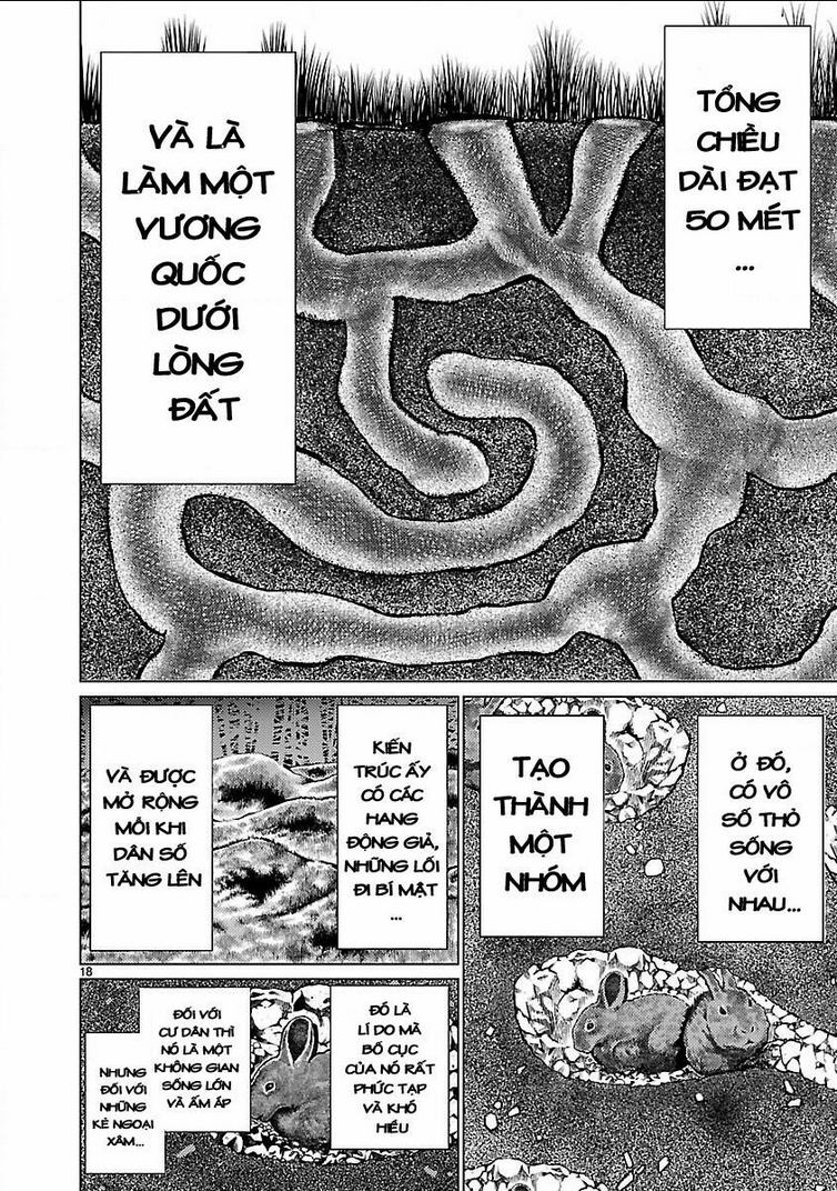 Killing Bites Tập 18 trang 22