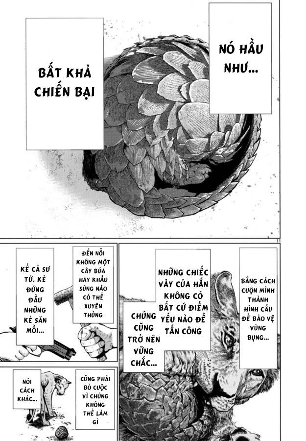 Killing Bites Tập 24 trang 15