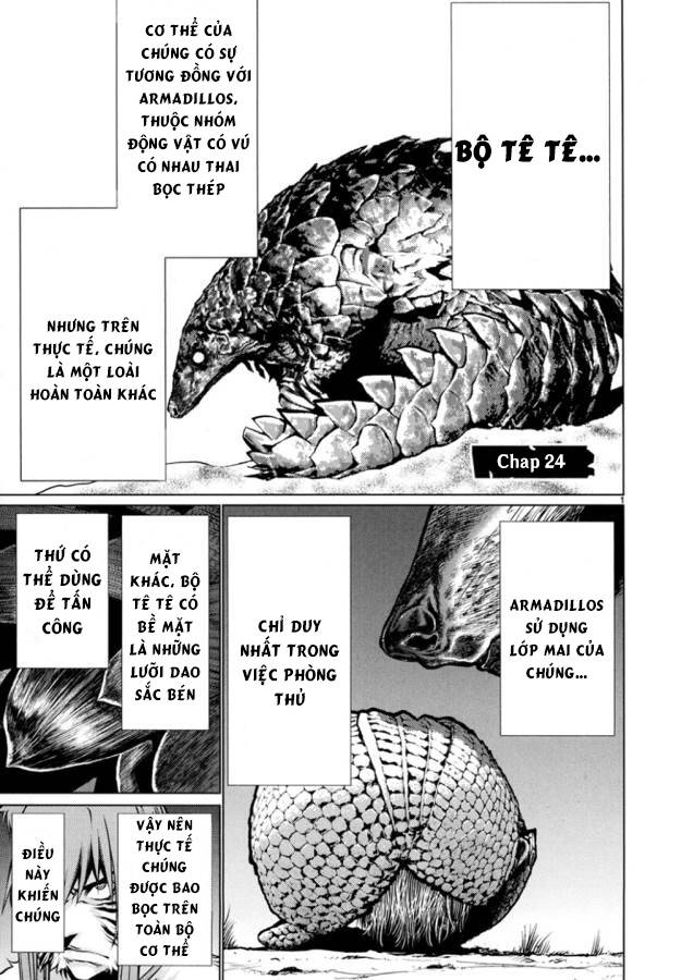 Killing Bites Tập 24 trang 5