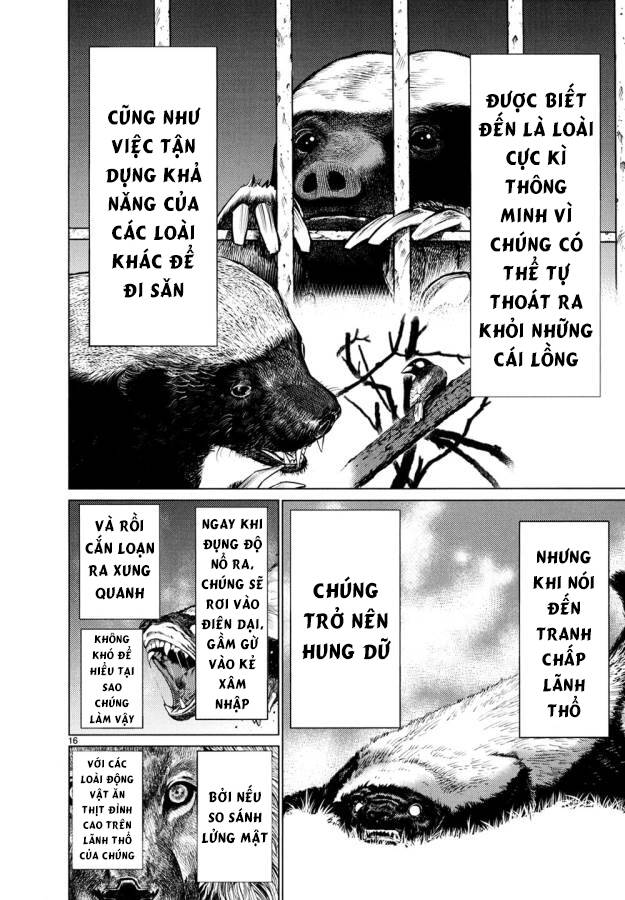 Killing Bites Tập 26 trang 20
