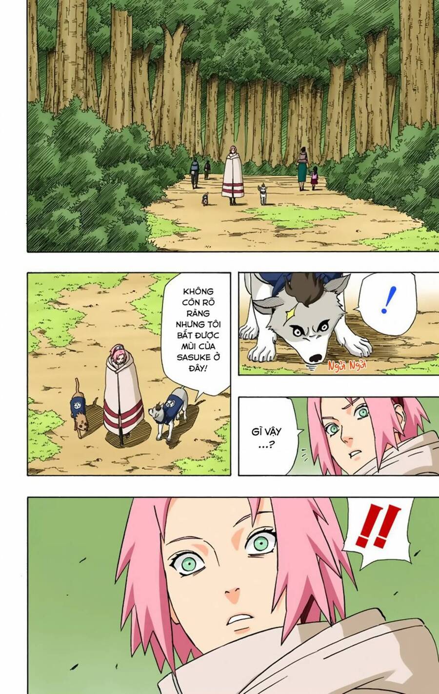 Naruto Full Màu Tập 355 trang 14