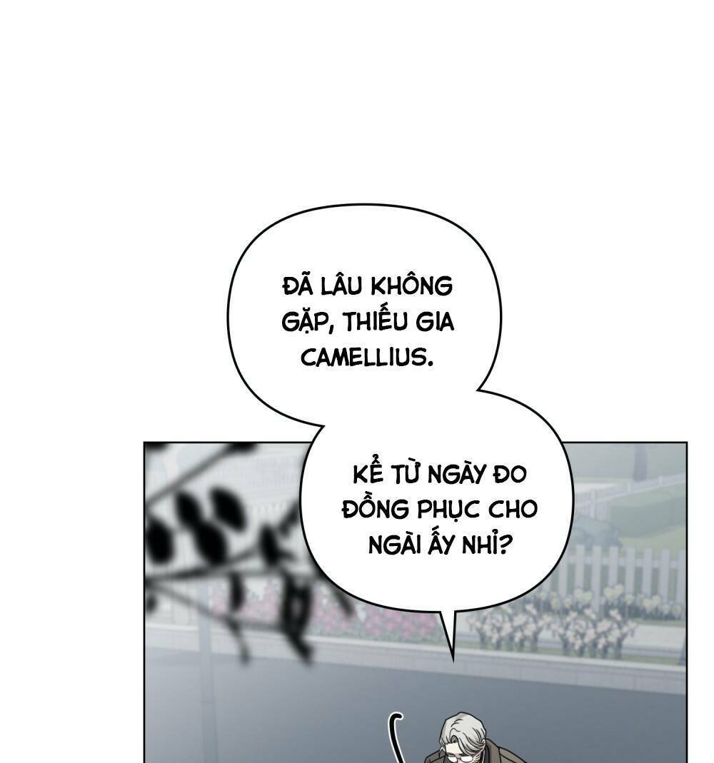 Tìm Lại Camellia Tập 64 trang 3