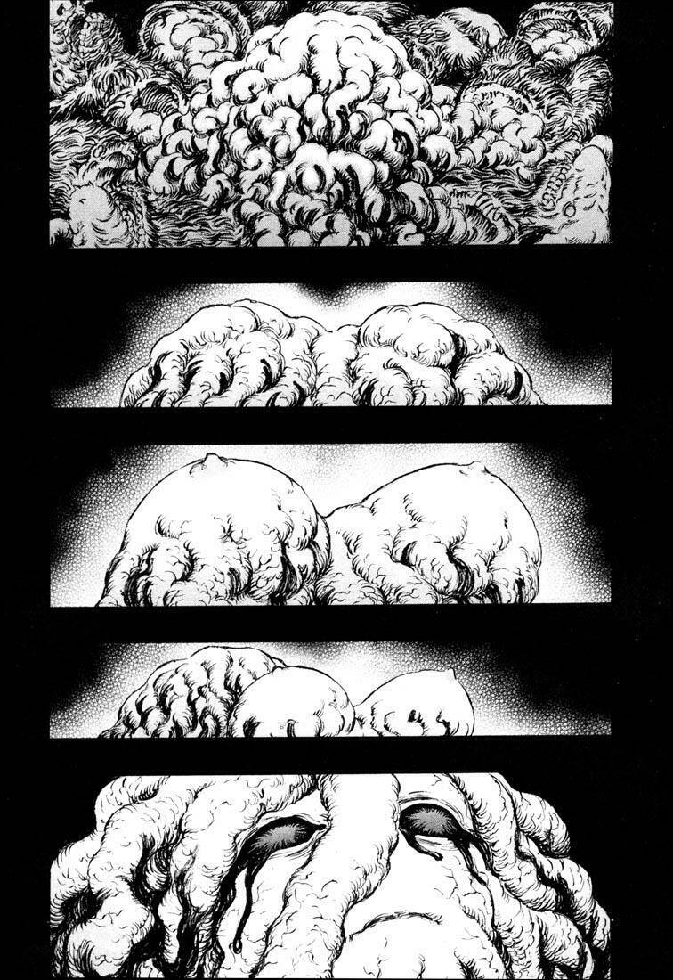 Berserk Tập 235 trang 8