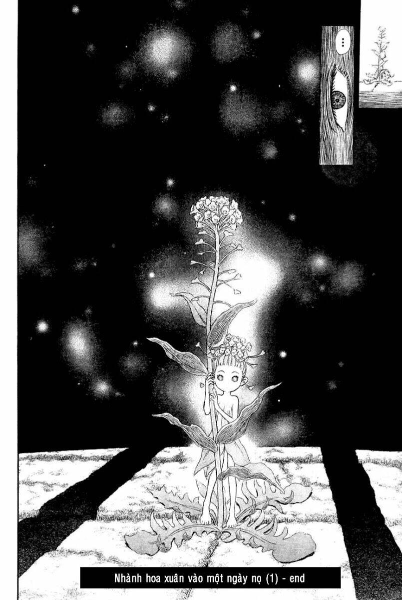 Berserk Tập 328 trang 24